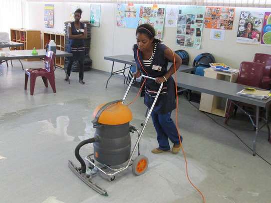 Expert domestic cleaning services in Nairobi image 1