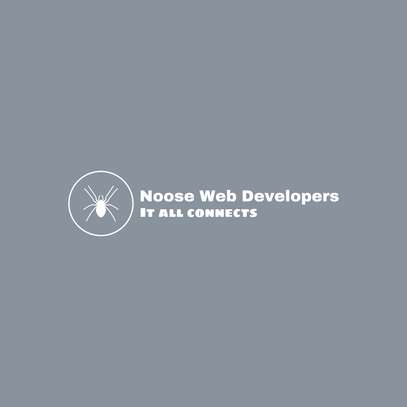 Noose Website designer image 2