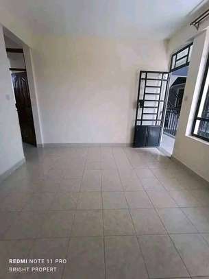 Naivasha Road One bedroom apartment to let image 1