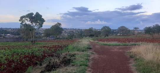 Residential Land at Adjacent To Muhasibu Estate image 7