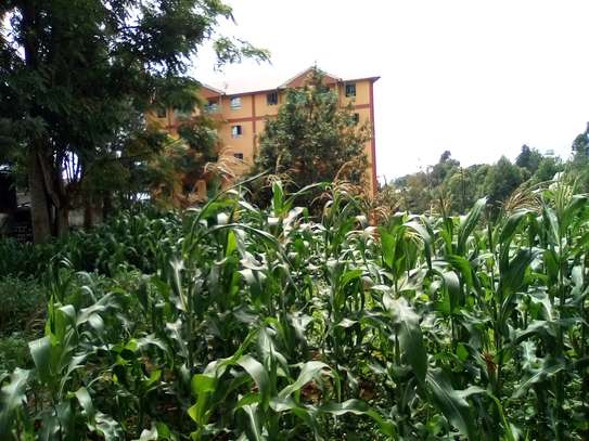 1/4-Acre Plot For Sale in Wangige image 1