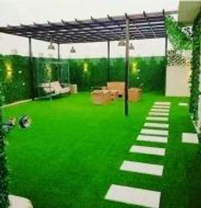 Artificial grass carpet cleaner image 2