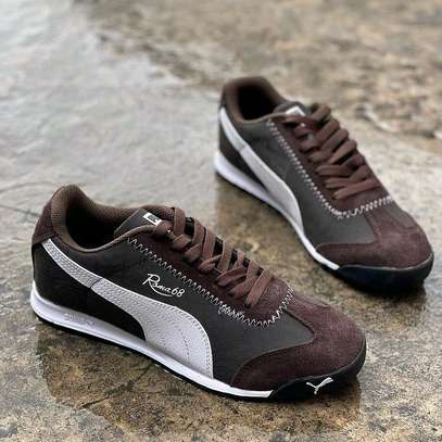 puma68 image 3