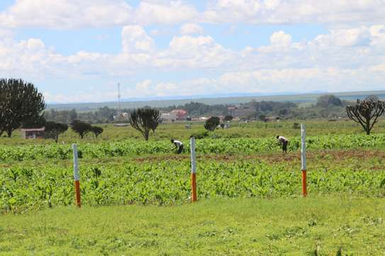 0.10 ha Residential Land at Rumuruti Town image 4