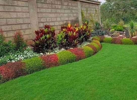 AFFORDABLE AND LOW MAINTENANCE LANDSCAPING SERVICES image 3
