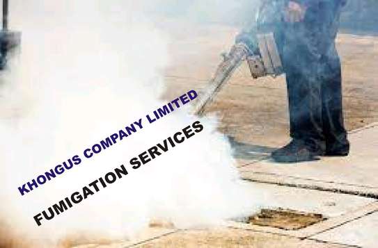 Khongus Fumigation Services image 1