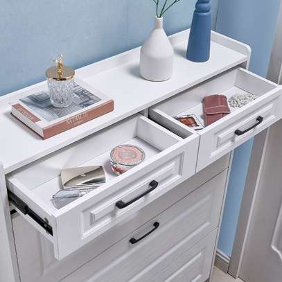 Modern Shoe Storage Cabinet image 3