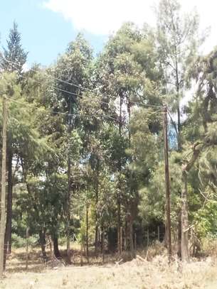 Residential Land in Ngong image 6