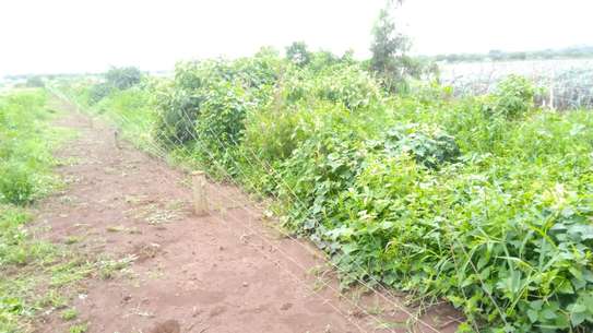 120 Acres With Water in Kimana Loitoktok Is For Sale image 2