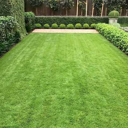 Artificial Grass Carpet Always Perfect for beauty image 4