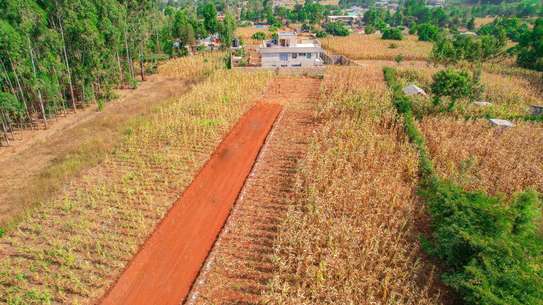 Prime residential plots for sale in Kikuyu migumoini image 4