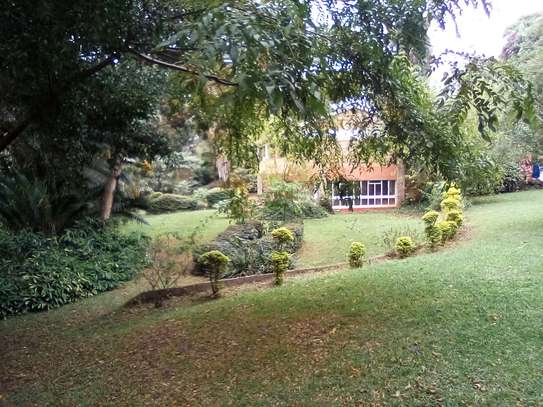 1.1-Acre Plot For Sale in Kyuna image 8