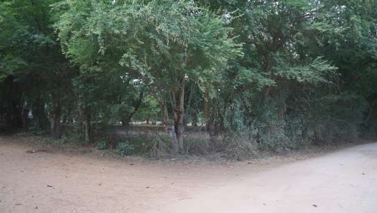1 ac Land in Kikambala image 9