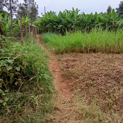 50x100ft plots for sale at Makuyu in Murang'a county image 6