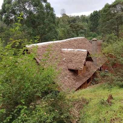 Makuti roofing construction image 1