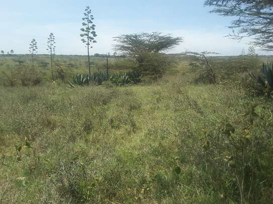 Lovely 4 Acre Land in Kiserian image 3