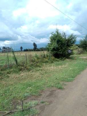 50x100 Land Plots Spacious Ready for Development- Ngata gate image 3