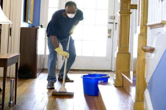 Hire Domestic worker, Housemaid Househelp, Gardener, image 8