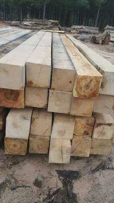 Oak beams(15 by 15 ,10 by 10 ,8 by 8 ,6 by 6& 5 by 5) image 3
