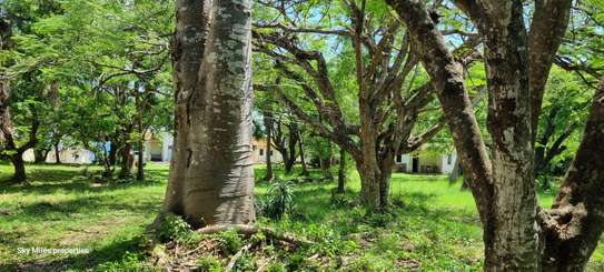 2.5 ac Land at Serena image 10