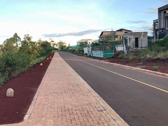 0.25 ac Land in Tatu City image 5