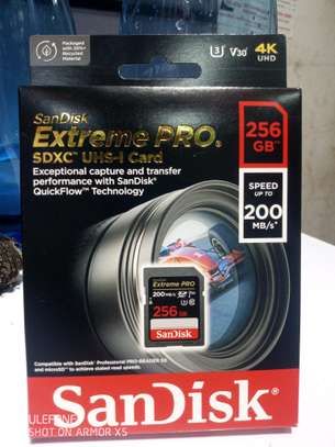 SD 256gb Extreme Pro image 2
