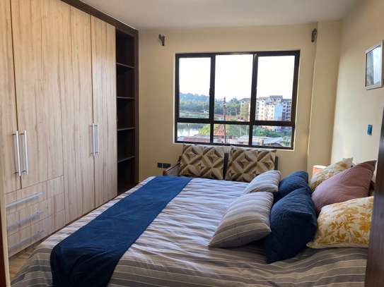 1 Bed Apartment with En Suite at Opposite Mountain View Area image 8