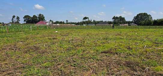 1/8 ACRE PLOT SALE IN KIPLOMBE KIBULKENY ELDORET image 6