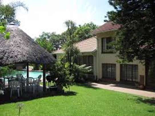 Home Gardening Services Nairobi,Kitengela, Kiambu, Syokimau,Kiserian,Thindigua, Kiambu, Machakos, Kajiado,Nairobi,Syokimau,Kitengela, Thindigua,Ruaka,Juja,Ngong,Thika,Limuru,Tigoni,Kajiado, Kiambu, Machakos,Murang'a ,Rongai,Ruaka,Upper Hill,Westland,Athi River,Ngong,Kitengela, Rongai,Ruai,Ruiru,Juja,Ngong,Kikuyu,Thika ,Lower Kabete,Juja,Rongai,Uthiru,Ruiru, Ruai,Kitengela,Ruiru,Thika, Ongata Rongai, Ngong,Kamulu , Joska ,Malaa,Kitengela,Ngong,Limuru,Thika,Athi River, Kiambu,Kitengela, Thindigua,Ruaka,Juja,Ngong,Thika,Lower,Kitengela, Thindigua, Ruaka, Juja, Ngong, Thika, Lower Kabete, Rongai,Uthiru,Kabete,Rongai,Uthiru,Kiserian. image 2