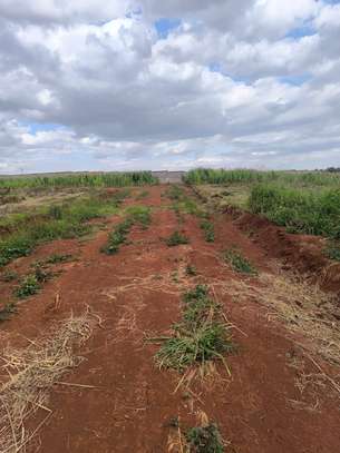 FOR SALE: Prime 1/8 Acre Residential Plots in Ruiru image 2