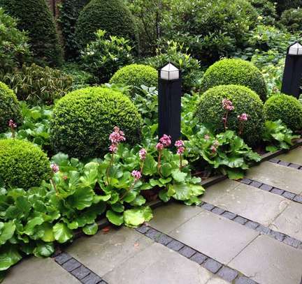 PROFESSIONAL GARDENING & LANDSCAPING SERVICES.LOWEST PRICE  GUARANTEE.CALL NOW image 12