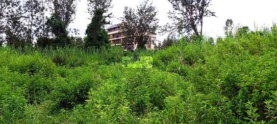 0.64 ac Residential Land in Thindigua image 3