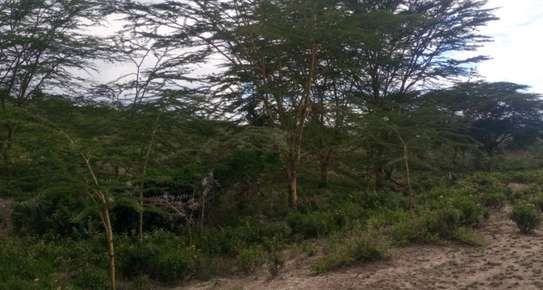100,000 Acres Affordable Land Are for Sale in Malindi-Kilifi image 1