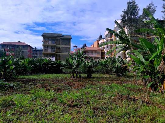 land for sale in Ruaka image 8