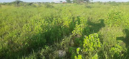 1,000 m² Land at Leshaoo image 5