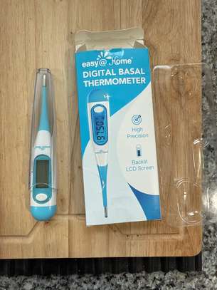 Easy@Home Digital Basal Thermometer with Blue Backlight image 1