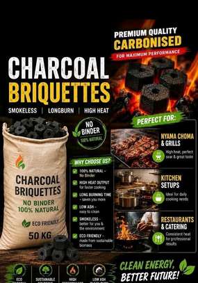Industrial Briquettes machine(factory) image 4