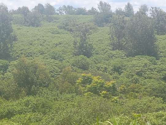 Plot for Sale – Thika Road (1st Row, Superhighway) image 2