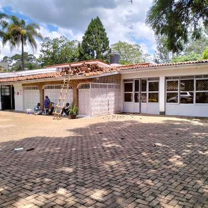 Commercial Property with Backup Generator in Lavington image 1