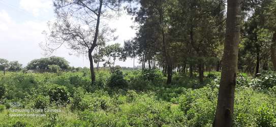 Land in Redhill image 14