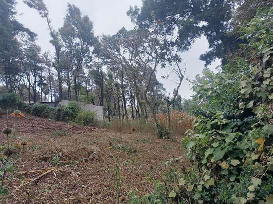 0.173 ac Residential Land at Ngong image 7
