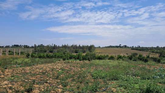 3.7 acre farm outside of Nanyuki for sale image 8