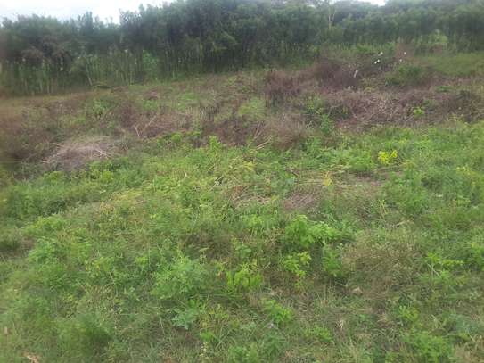 Beautiful one eighth plots in Ngong image 12