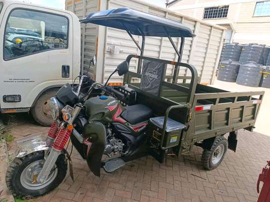 NEW APSONIC CARGO TUKTUK 250CC image 1