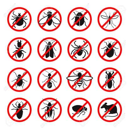 Bed bug Fumigation Services in Makadara/Maringo/ Hamza image 9