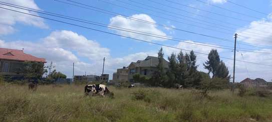 Resdy to build Katani Plots For Sale image 3