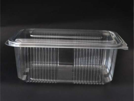 Multipurpose Disposable Food Deli Punnets Containers - 20 Pcs image 2
