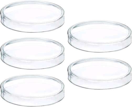 PETRI DISHES-GLASS FOR SALE PRICES NAIROBI,KENYA image 1