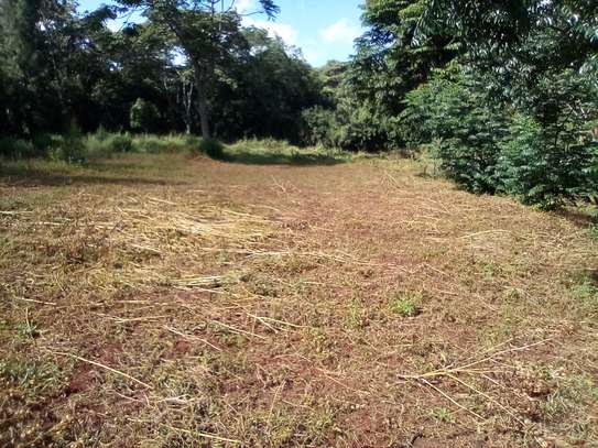 1.1-Acre Plot with Red Soil in Karen Handy image 2