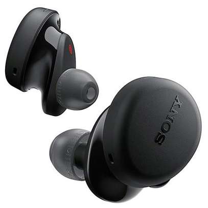 Sony WF-XB700 Extra BASS True Wireless Earbuds image 1